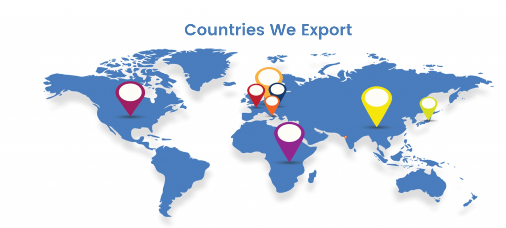 We Export Banner
